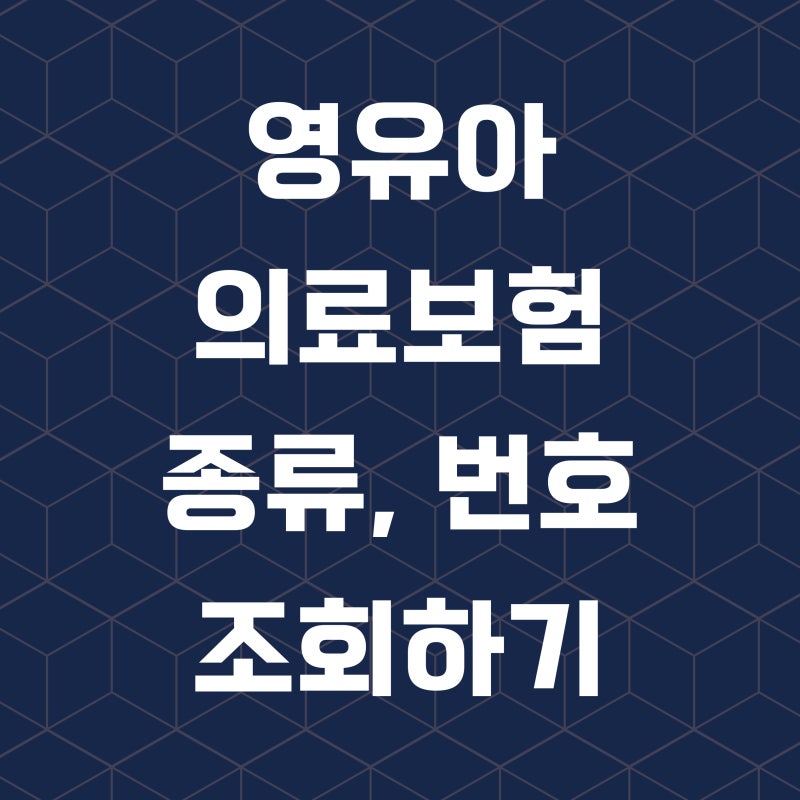 영유아 의료보험 종류, 번호 조회 그대로 따라하기(어린이집)