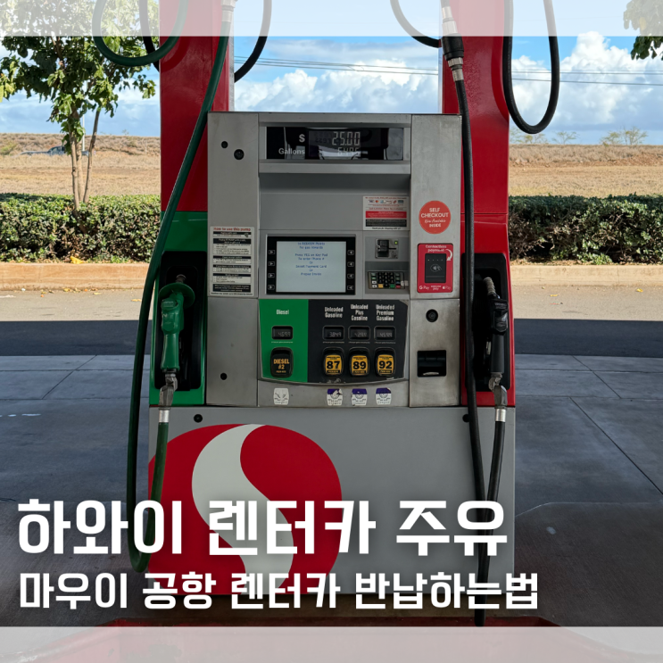  하와이 렌터카 주유하는법 마우이 공항 허츠 Hertz 렌터카 반납하는법｜업체별 비용 비교