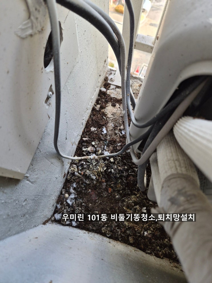  양산 우미린101동 비둘기퇴치(청소)병원균과 잡균을 지닌비둘기는 퇴치망설치로 완전 차단ok~양산해피홈케어