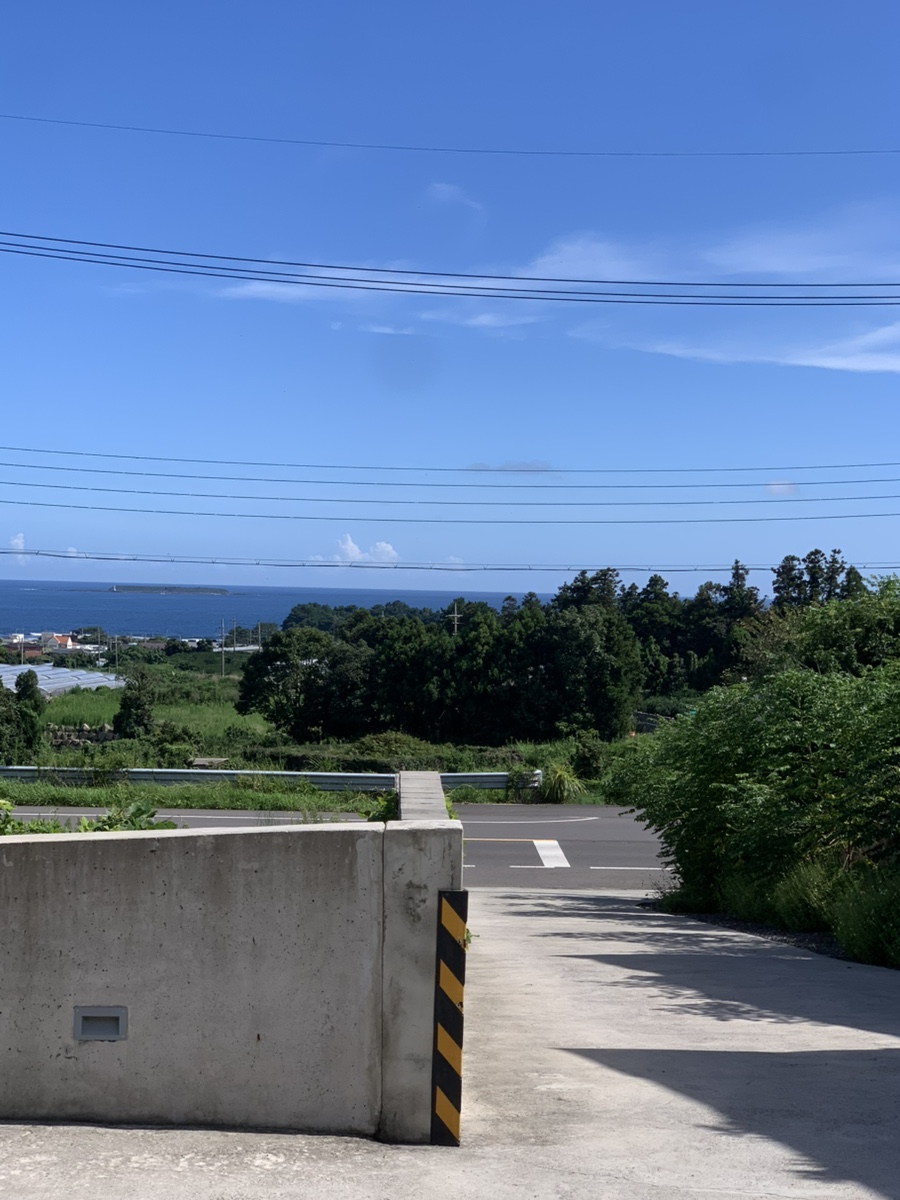 공사이도 사진 4