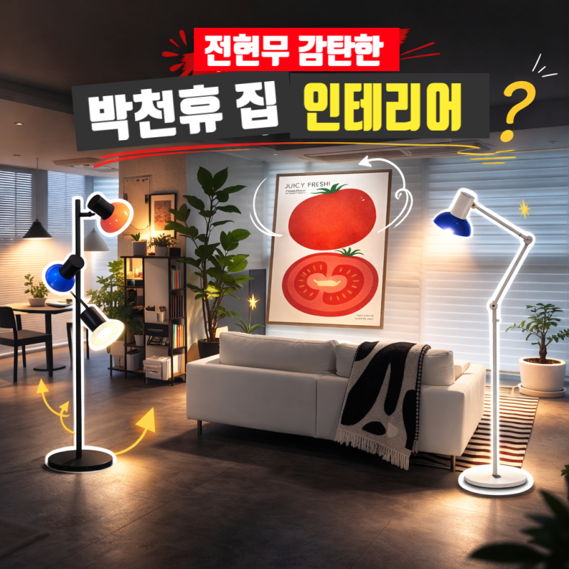 《我獨自生活》第635集 朴天休作家的家裝潢燈具價格是多少？