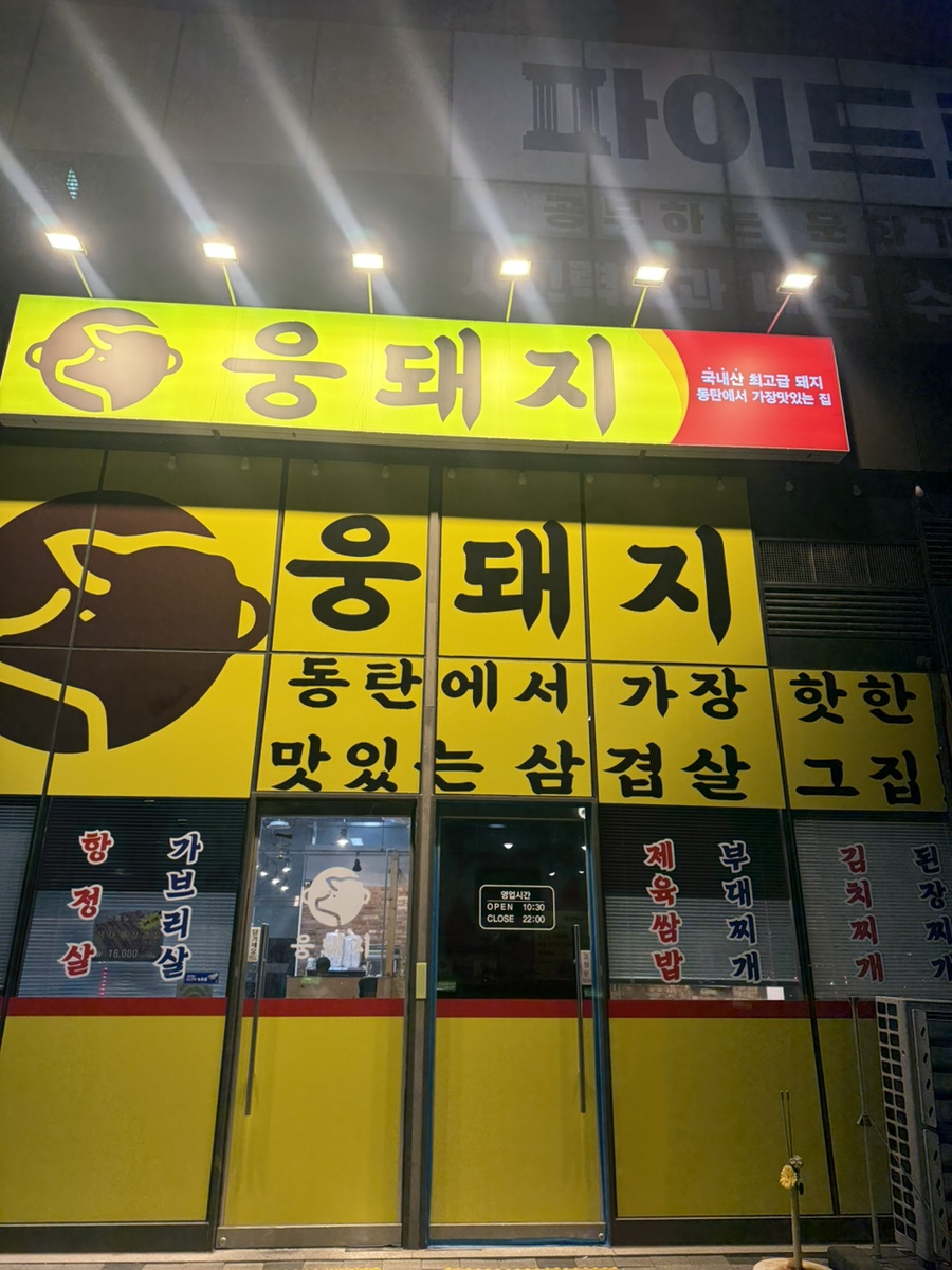 웅돼지 사진 2