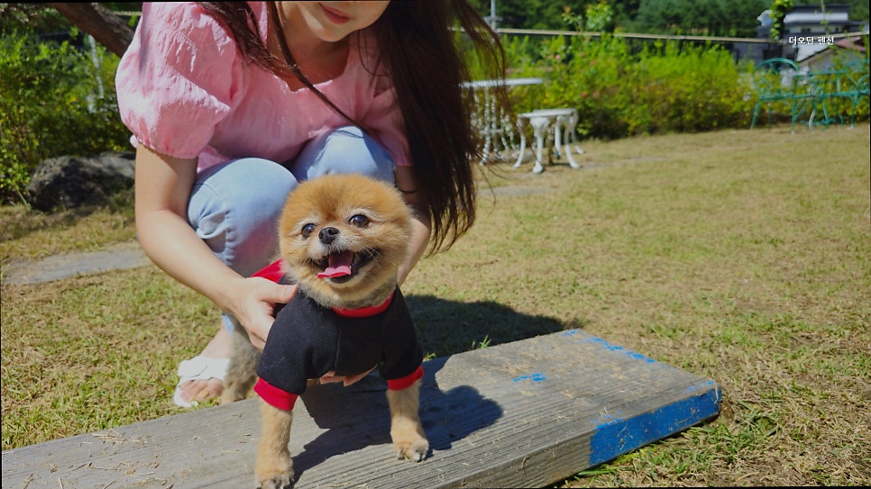 더오딘펜션 사진 2
