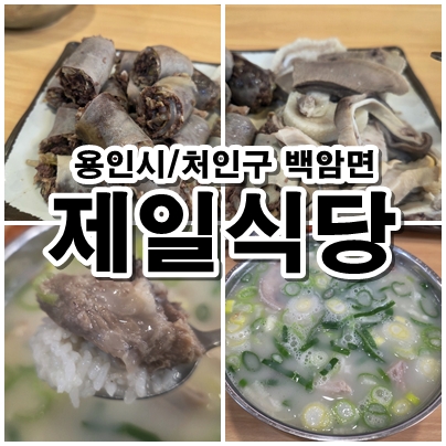  용인 처인구 백암면 맛집 제일식당 순댓국과 모둠 순대 방문 리뷰