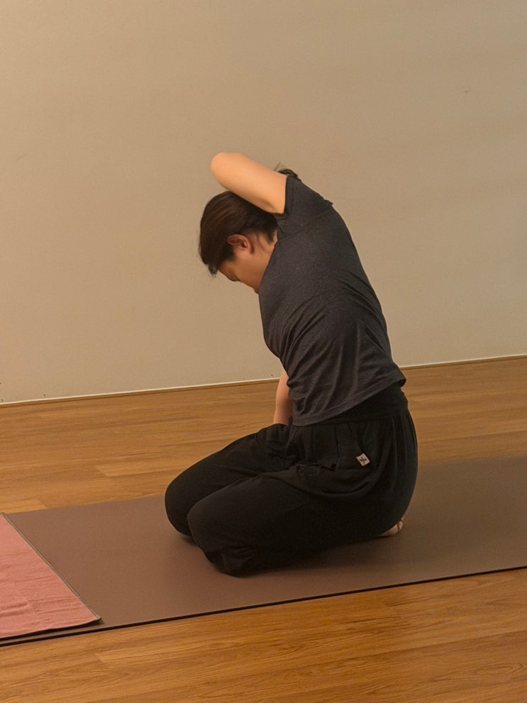  복수동요가 찾는다면 필독 6개월 차가 전하는 쉼표요가관저점 솔직 후기