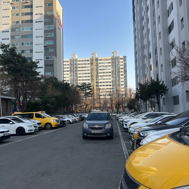 사진 9