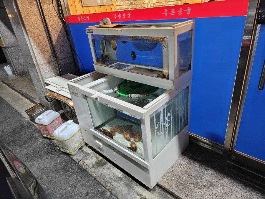 푸른용궁회 사진 4