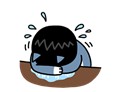  너구리 다시마