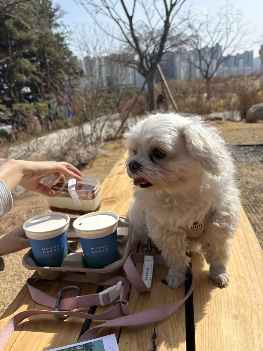 봄날 본점 사진 4