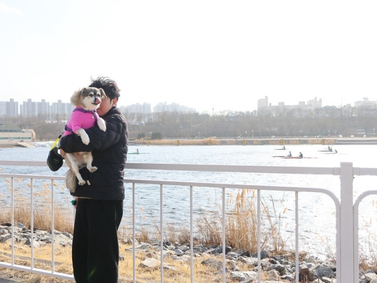  하남 미사경정공원 미사리 조정경기장 강아지 산책장소 추천!
