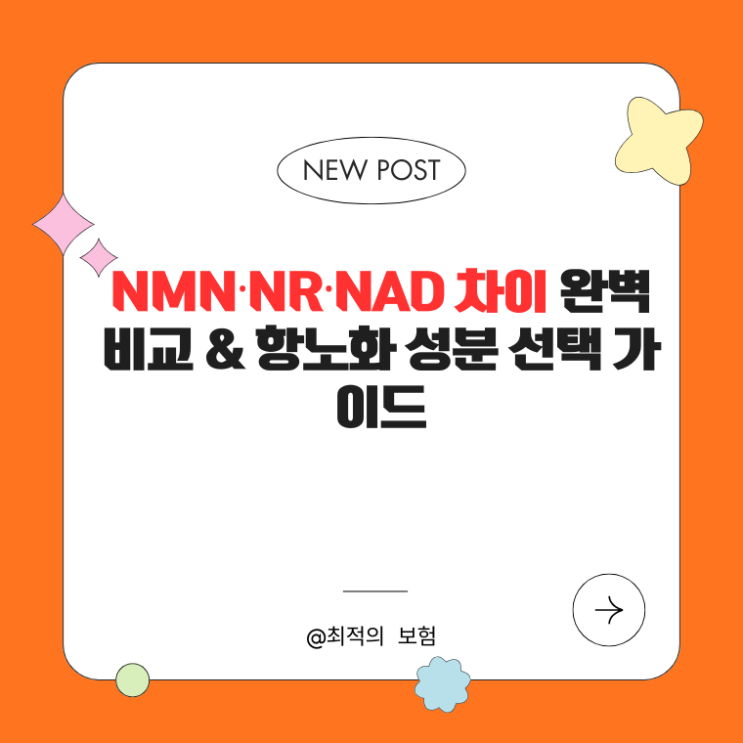  2026 노화방지 영양제 추천