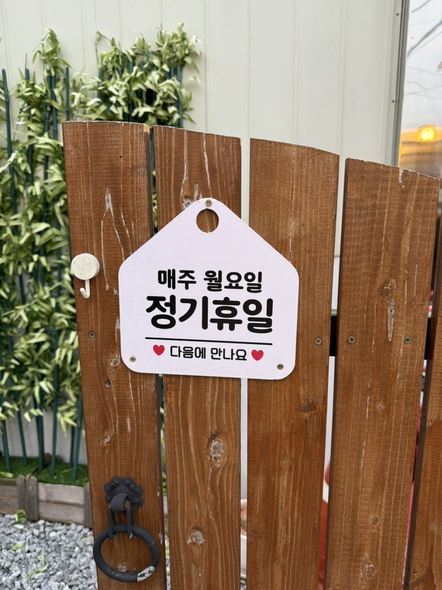 카페아리냥이 사진 4