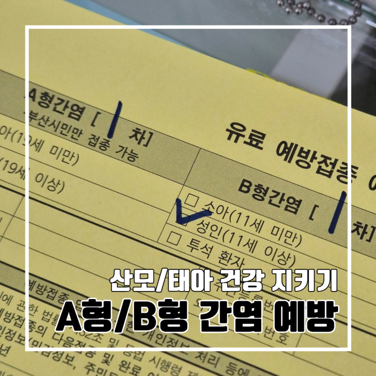  A형 간염 / B형 간염 예방접종 맞고 난 후 왜 맞아야 하는지 찾아본 후기