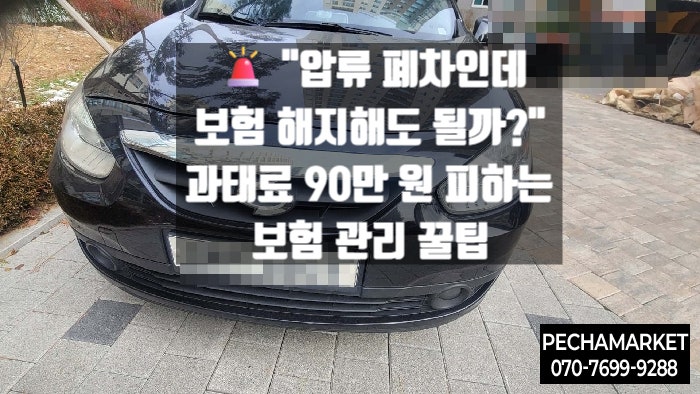   "압류 폐차인데 보험 해지해도 될까?" 과태료 90만 원 피하는 보험 관리 꿀팁