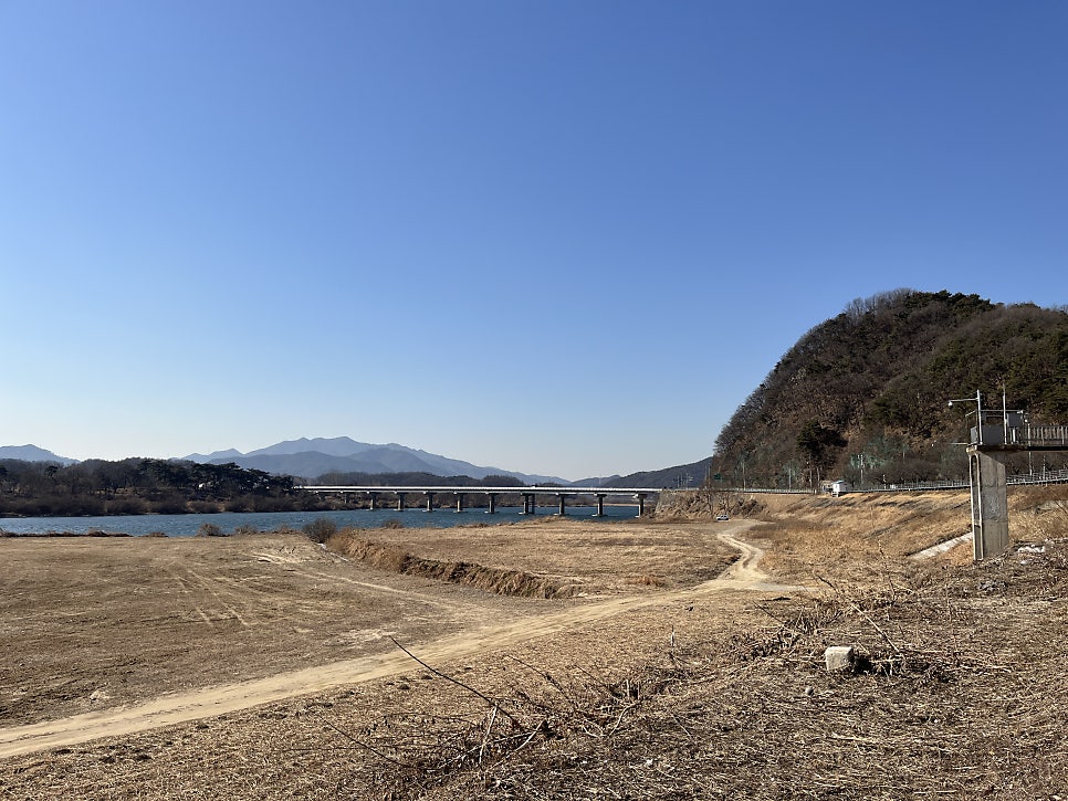 밤안개식당 사진 3