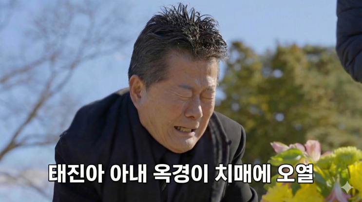 조선의 사랑꾼 <b>태진아</b> 근황 <b>아내</b> 치매에 오열 전한길 손절 교회... 
