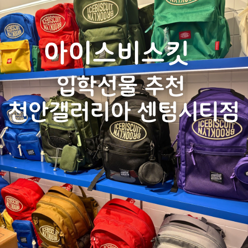 천안 아이스비스킷 갤러리아백화점 센터시티점 초등학생 책가방 추천 입학선물