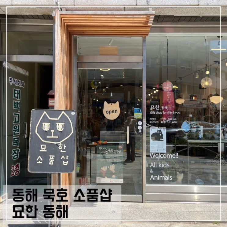  묵호 소품샵 묘한동해 묵호역 근처 가볼만한곳 추천