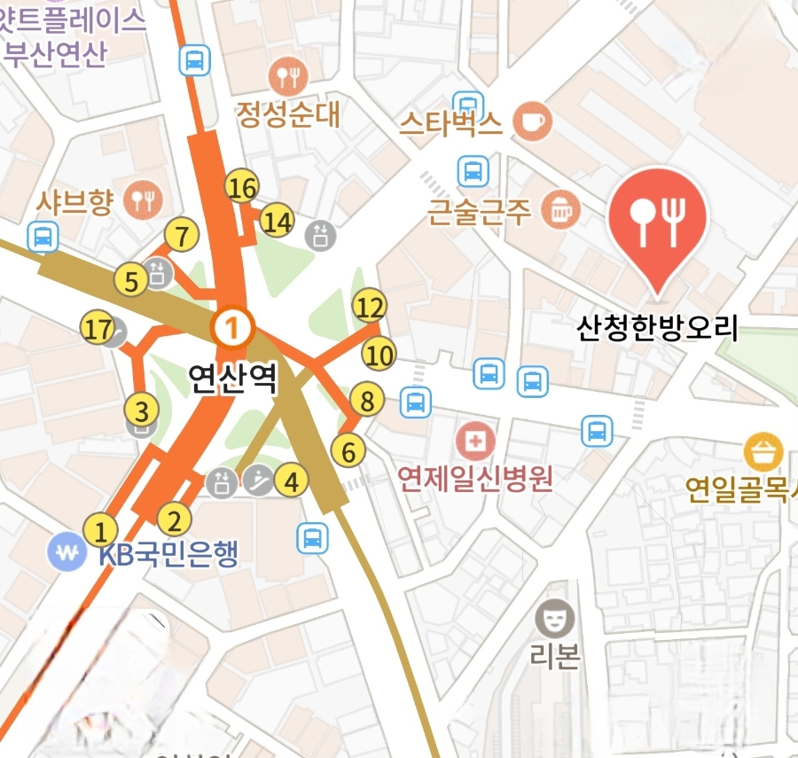 산청 한방오리 사진 2