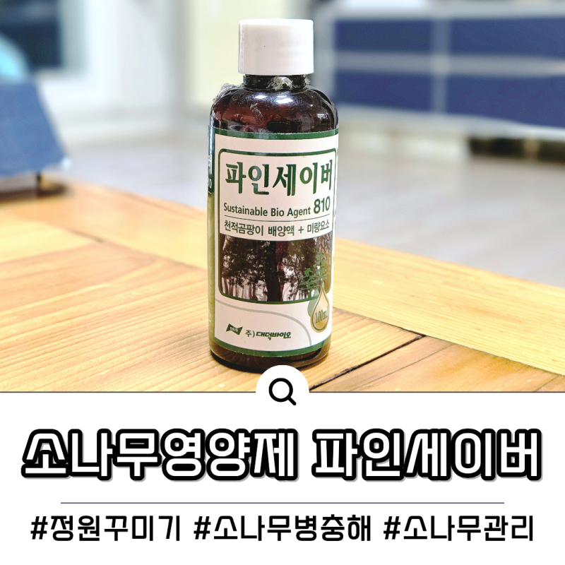 죽어가는 소나무 되살리는 방법, 소나무관리 소나무재선충 예방 소나무수간주사 파인세이버
