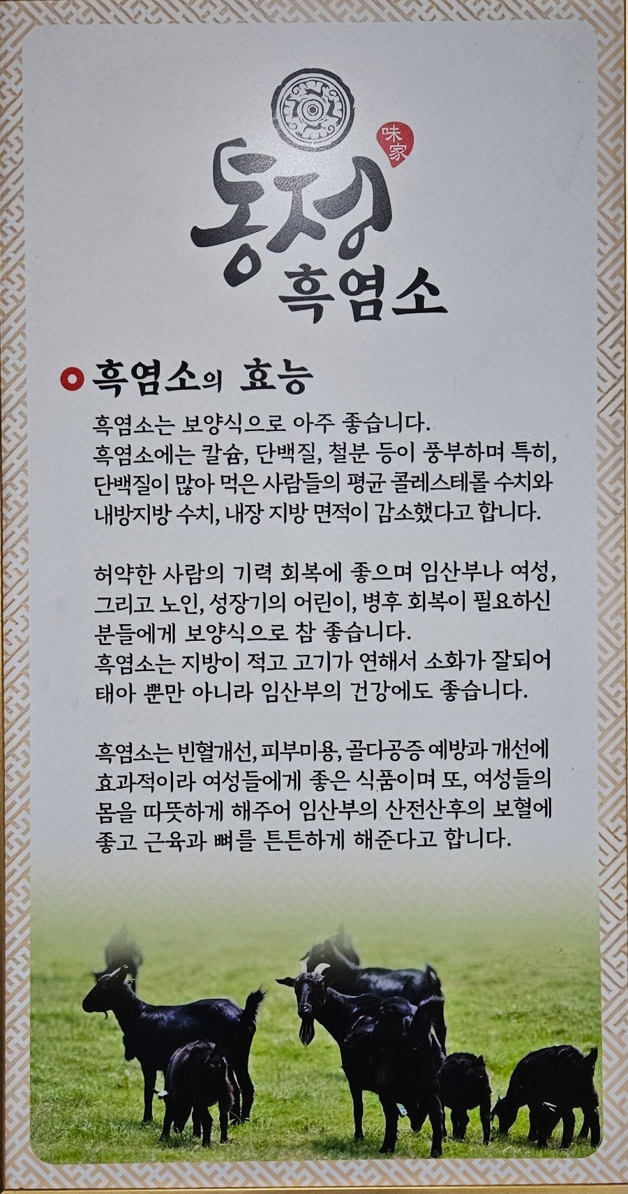통정흑염소 사진 6