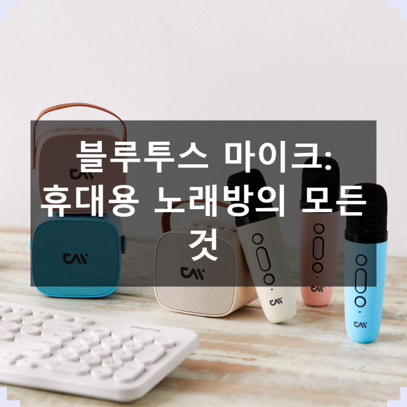 휴대용 노래방 마이크, 이 가격에 이 성능?
