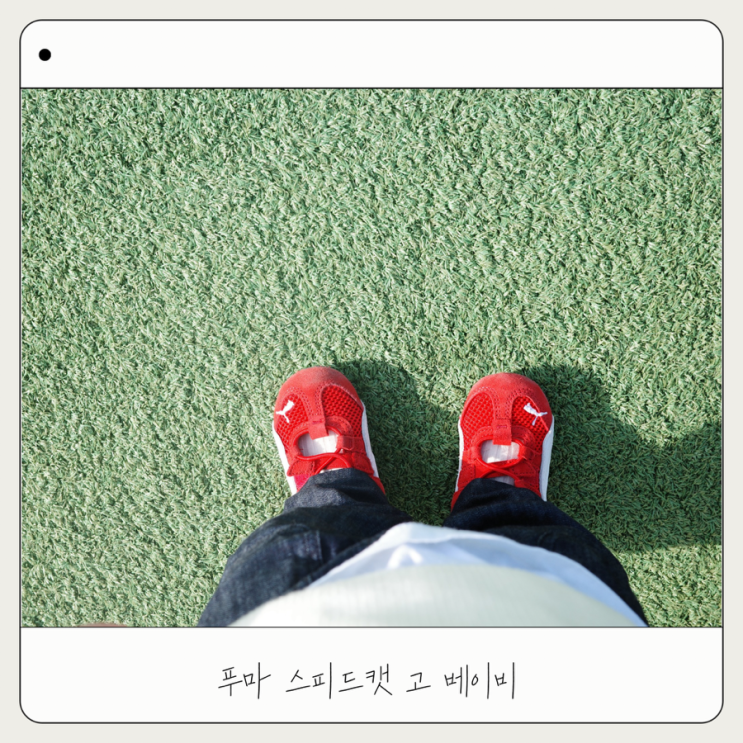  푸마 키즈 스피드캣 고 사이즈 팁