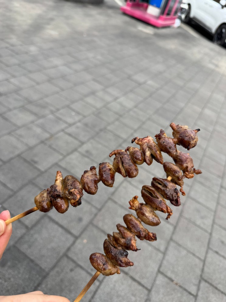  강릉 중앙시장 맛집 시나미 닭 염통 꼬치