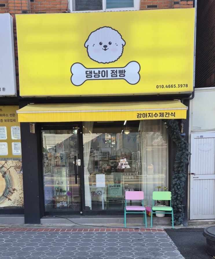  창원 가볼만한곳 추천 댕냥이점빵에서 겟한 건강한 반려동물 수제간식