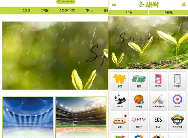  토토 먹튀사이트 새싹 [시간 끌기 바쁜 곳] 가족방도 한통속!