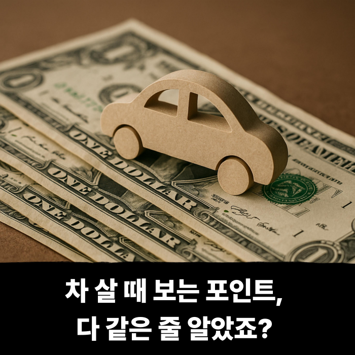  차 살 때 보는 포인트, 다 같은 줄 알았죠? 의외로 완전 갈립니다