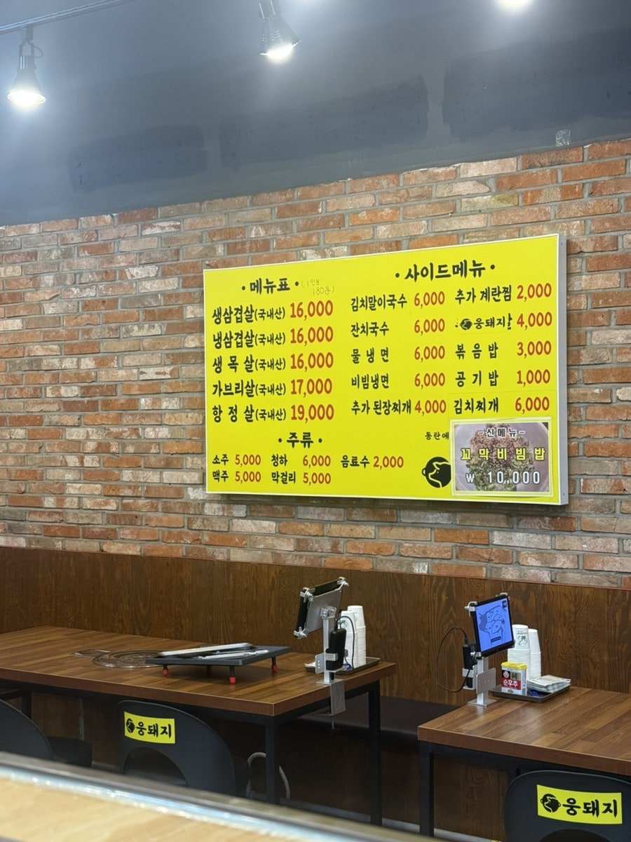 웅돼지 사진 5