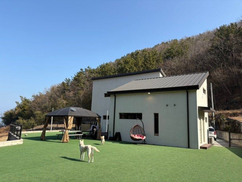 사진 9