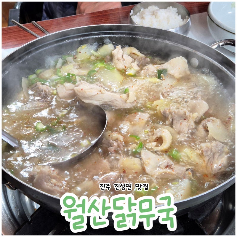 진주 진성 식당 월산닭무국, 시원한 닭무국 인기 로컬 맛집