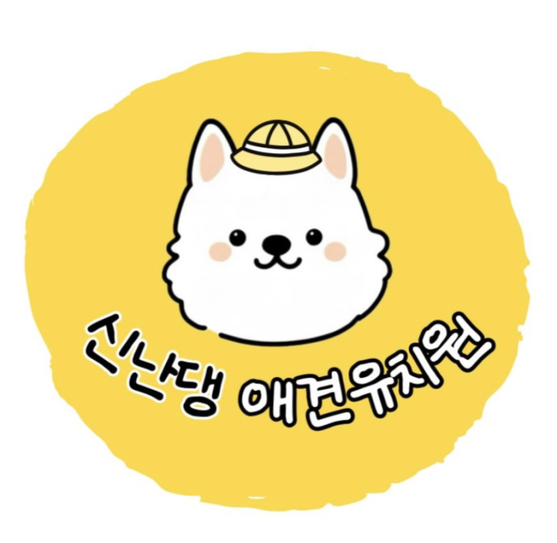 사진 10