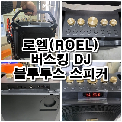  로엘 버스킹 DJ 블루투스 스피커 사용 후기 무선마이크까지 올인원 1년 사용 후기