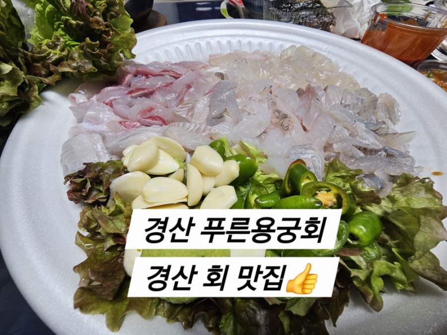 푸른용궁회 사진 1