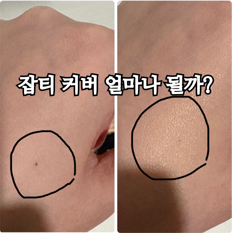 정샘물 컨실러쿠션 라이트 잡티커버 솔직후기