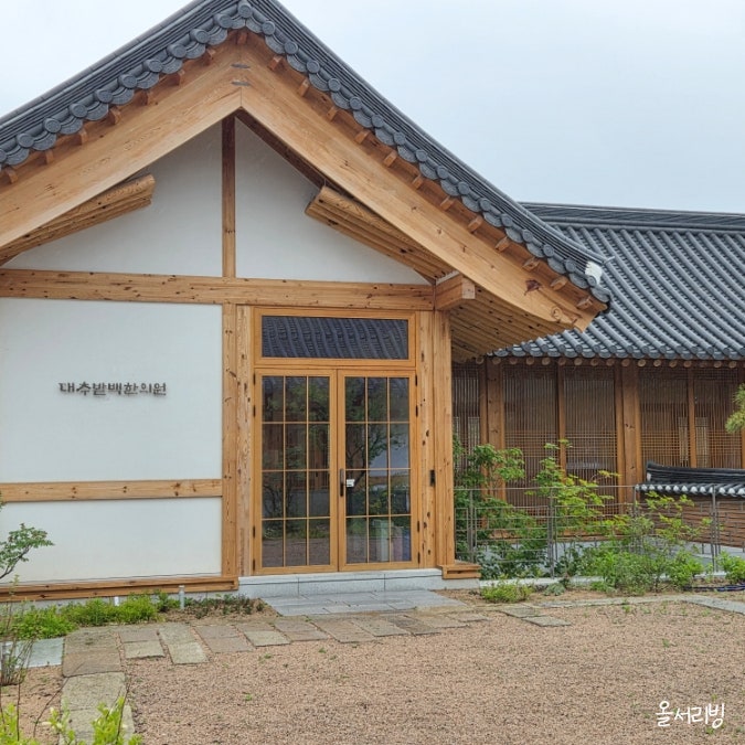  경주 대추밭백한의원 예약 방법 가격 임신 성공 스토리