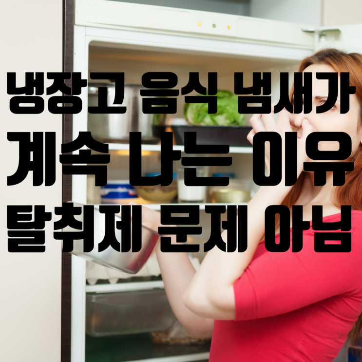  냉장고에서 음식 냄새가 계속 나는 이유, 탈취제 문제가 아니었습니다