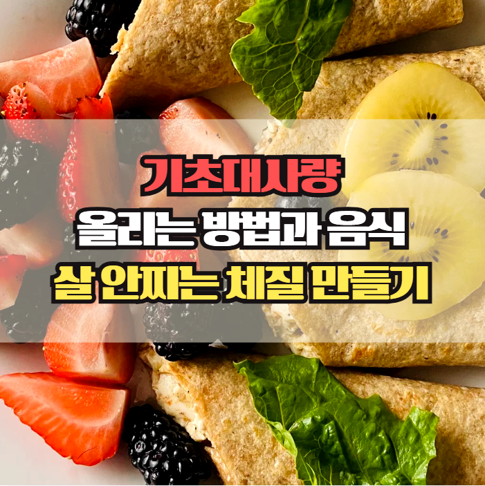  기초대사량 높이는 방법과 음식, 살 안찌는 체질 만드는 법