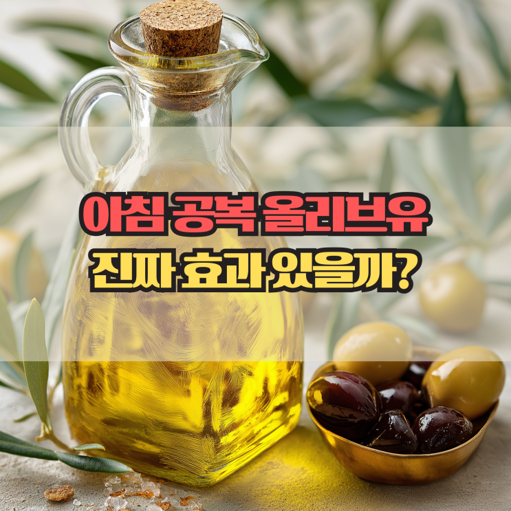  아침 공복 올리브유 효능, 다이어트와 변비 개선에 도움될까?