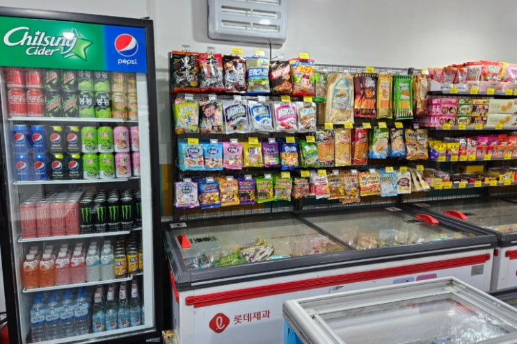  [무인점포 화재보험] 아이스크림 할인점 - 꼭 필요한 항목 정리!