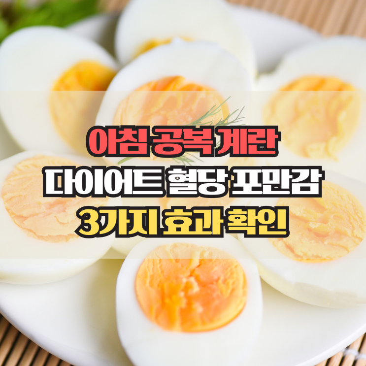  아침 공복 계란, 다이어트 혈당 포만감 관리에 효과 있을까?