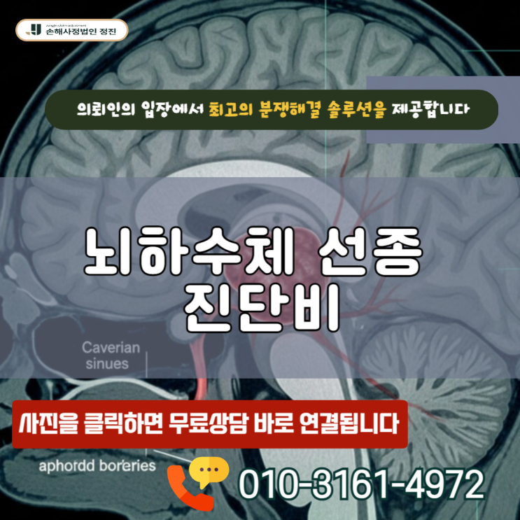  뇌하수체 선종 진단비, D35.2 양성 코드여도 암보험금 받을 수 있는 이유