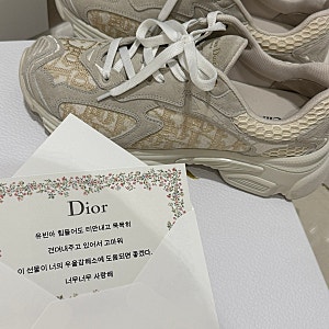 신고싶었던 ‘디올 바이브(Dior Vibe) 스니커즈 골드‘‘ 남편의 선물