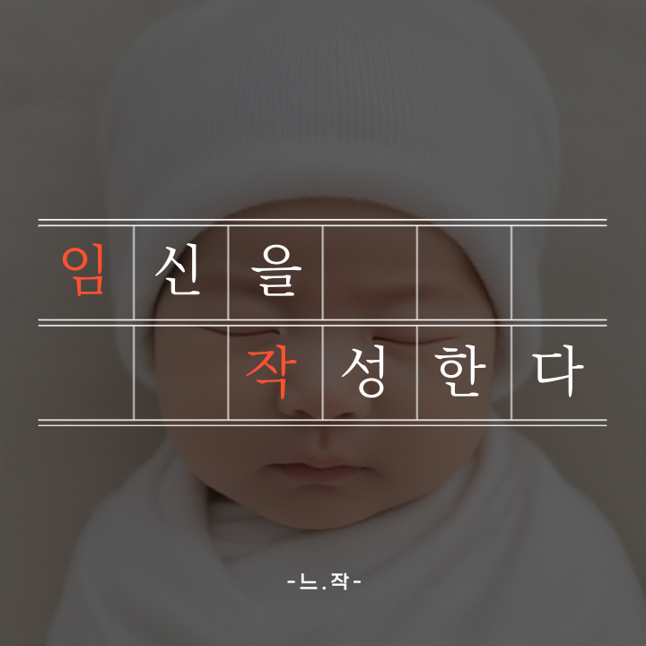  [임신6주차] 심장소리 확인부터 보건소 임산부 등록까지! 예비아빠 일기