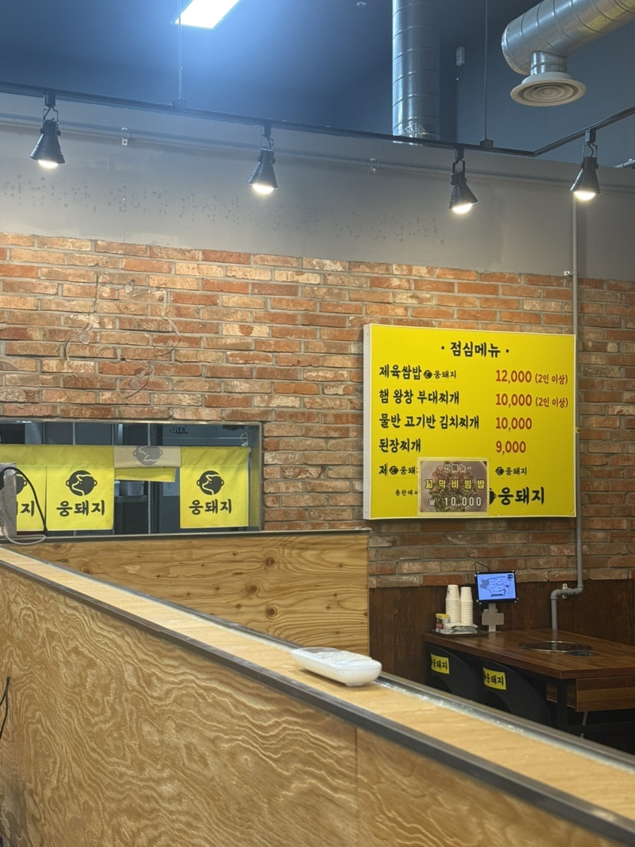 웅돼지 사진 4
