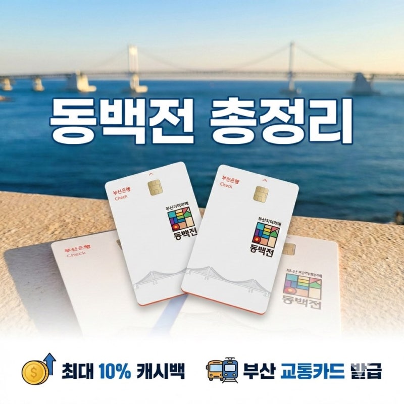 동백전 캐시백 사용방법 총정리 기한·동백패스·부산 교통카드 발급까지 한눈에