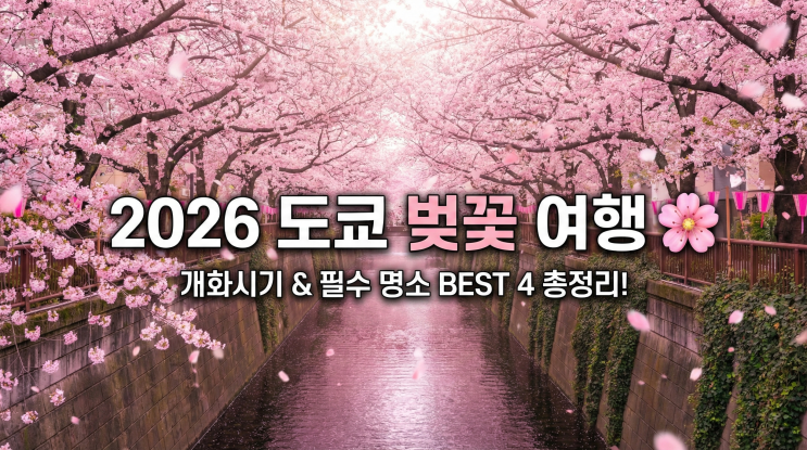  2026 도쿄 벚꽃 개화시기 & 명소 총정리! (도쿄 항공권 예약 팁)